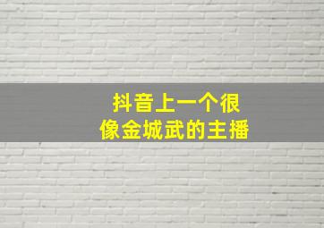 抖音上一个很像金城武的主播