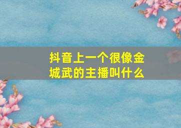 抖音上一个很像金城武的主播叫什么