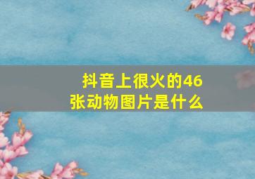 抖音上很火的46张动物图片是什么