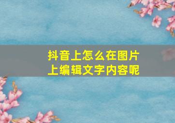 抖音上怎么在图片上编辑文字内容呢