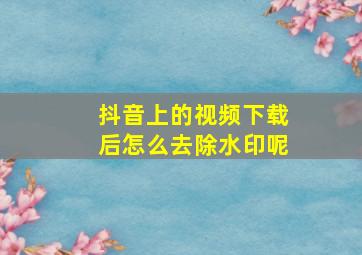 抖音上的视频下载后怎么去除水印呢