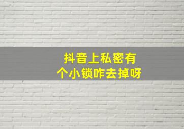 抖音上私密有个小锁咋去掉呀