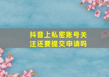 抖音上私密账号关注还要提交申请吗