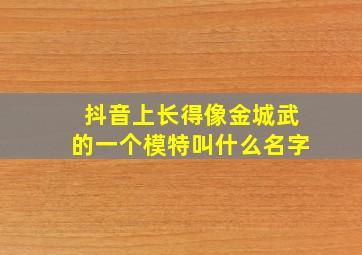 抖音上长得像金城武的一个模特叫什么名字