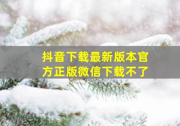 抖音下载最新版本官方正版微信下载不了