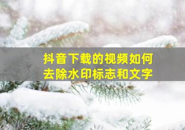 抖音下载的视频如何去除水印标志和文字