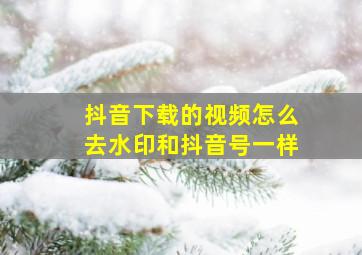 抖音下载的视频怎么去水印和抖音号一样