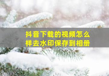 抖音下载的视频怎么样去水印保存到相册