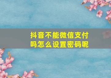 抖音不能微信支付吗怎么设置密码呢