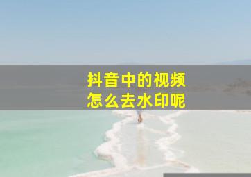 抖音中的视频怎么去水印呢