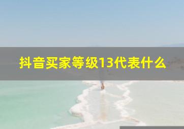 抖音买家等级13代表什么