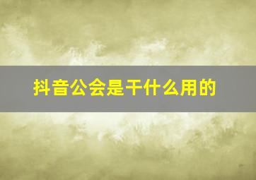 抖音公会是干什么用的