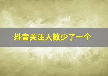 抖音关注人数少了一个