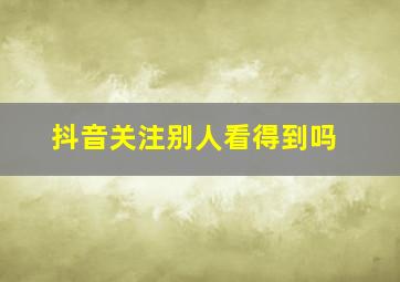 抖音关注别人看得到吗