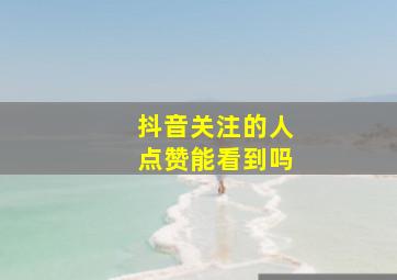 抖音关注的人点赞能看到吗