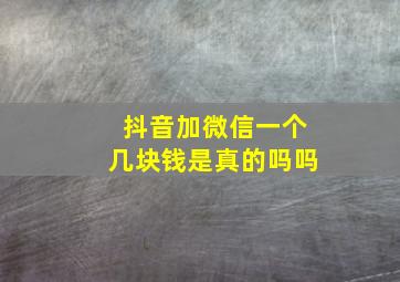 抖音加微信一个几块钱是真的吗吗