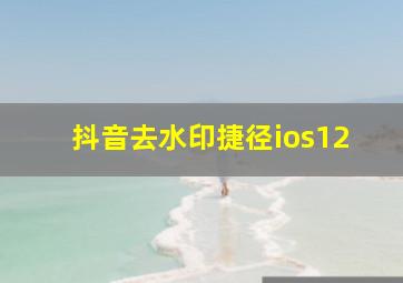 抖音去水印捷径ios12