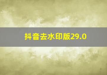 抖音去水印版29.0