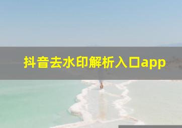 抖音去水印解析入口app