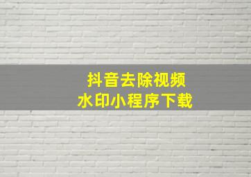 抖音去除视频水印小程序下载