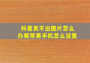 抖音发不出图片怎么办呢苹果手机怎么设置