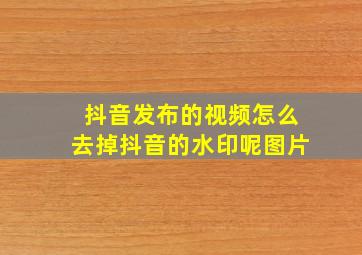 抖音发布的视频怎么去掉抖音的水印呢图片