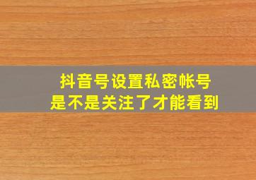 抖音号设置私密帐号是不是关注了才能看到