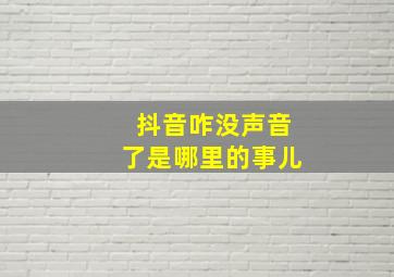 抖音咋没声音了是哪里的事儿