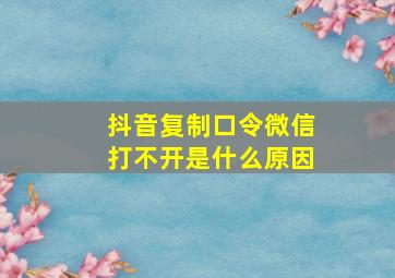 抖音复制口令微信打不开是什么原因