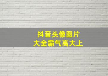 抖音头像图片大全霸气高大上