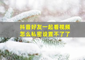 抖音好友一起看视频怎么私密设置不了了