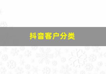 抖音客户分类