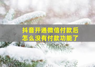 抖音开通微信付款后怎么没有付款功能了