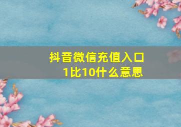 抖音微信充值入口1比10什么意思