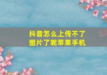 抖音怎么上传不了图片了呢苹果手机