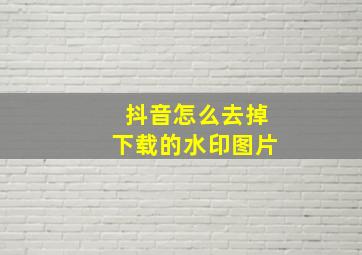 抖音怎么去掉下载的水印图片