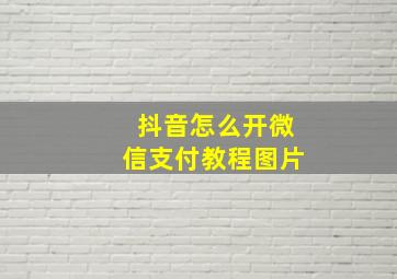 抖音怎么开微信支付教程图片