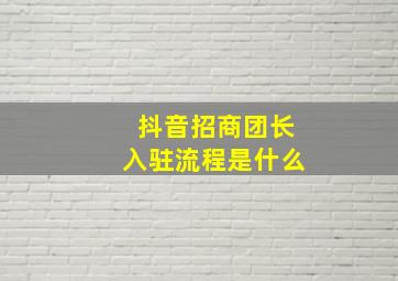 抖音招商团长入驻流程是什么