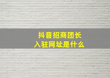 抖音招商团长入驻网址是什么