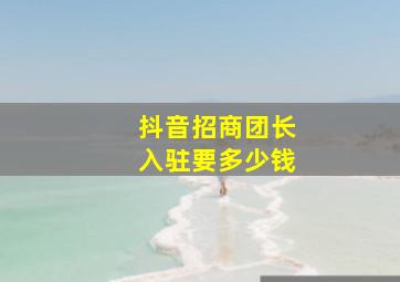 抖音招商团长入驻要多少钱