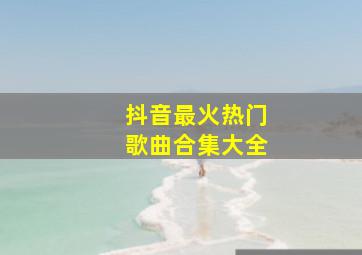 抖音最火热门歌曲合集大全