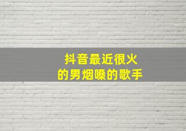 抖音最近很火的男烟嗓的歌手