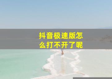 抖音极速版怎么打不开了呢