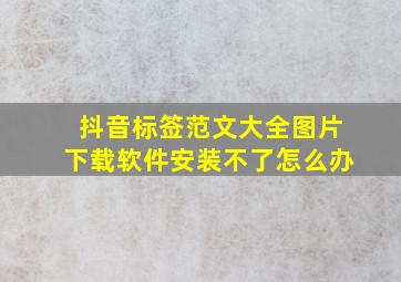 抖音标签范文大全图片下载软件安装不了怎么办