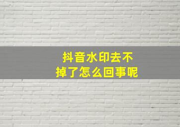 抖音水印去不掉了怎么回事呢