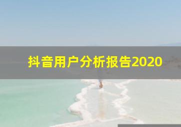 抖音用户分析报告2020