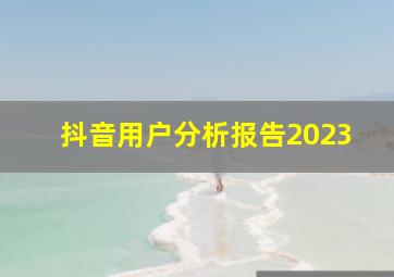 抖音用户分析报告2023