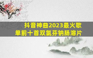 抖音神曲2023最火歌单前十首双氯芬钠肠溶片