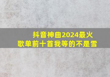 抖音神曲2024最火歌单前十首我等的不是雪