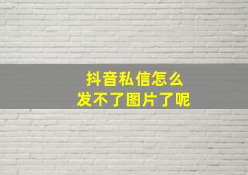 抖音私信怎么发不了图片了呢